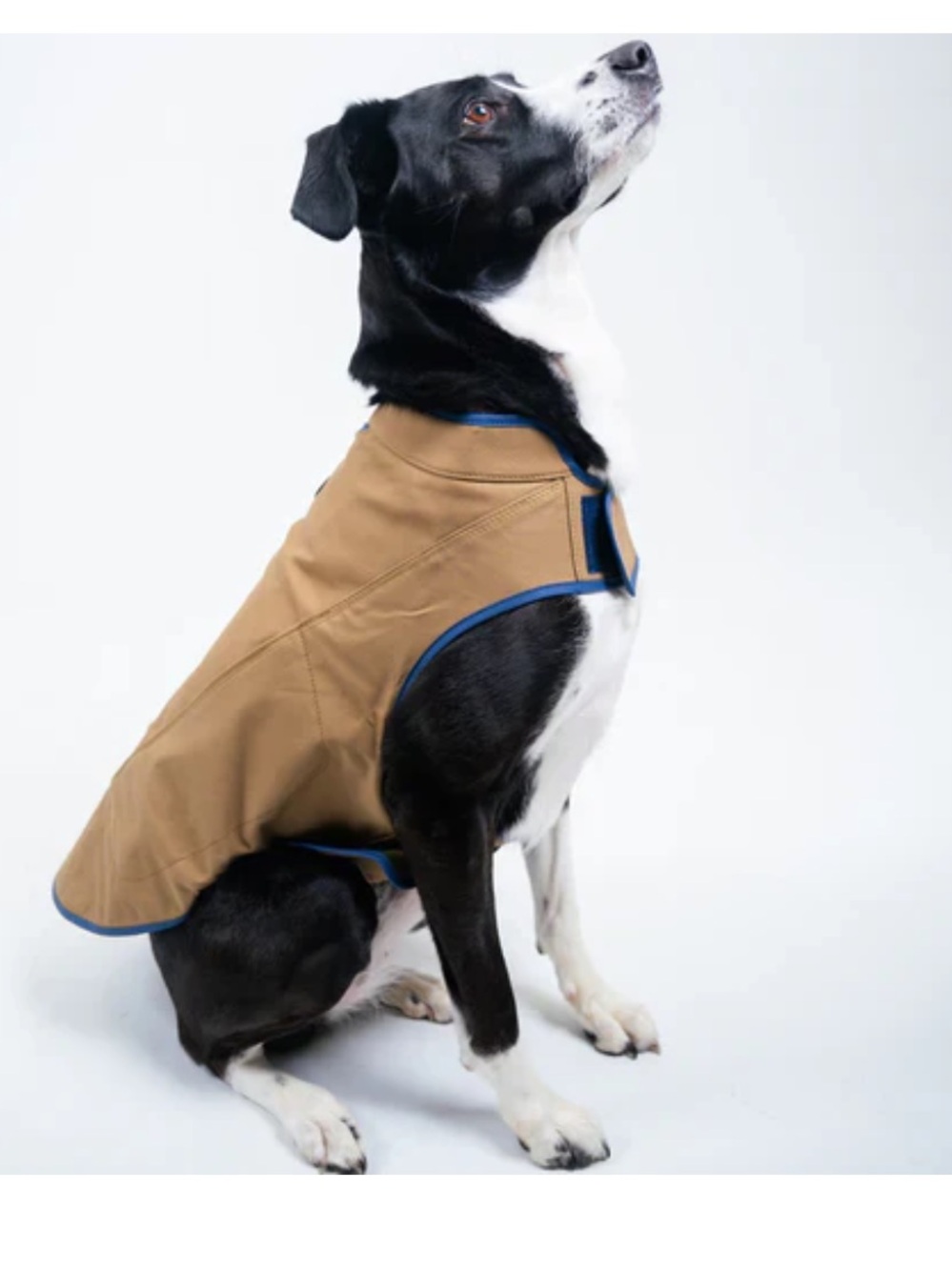 Mountain Khakis Dog's Camber Original Dog Vest